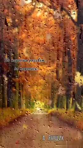 #янущик🎶 #неторописьрассвет #счастье #новаяпесня #люблюжизнь #осень