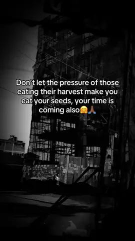 Am telling you this coz no one will ever let you know #foryou #foryoupage #TikTok #creatorsearchinsights #fyppppppppppppppppppppppp 