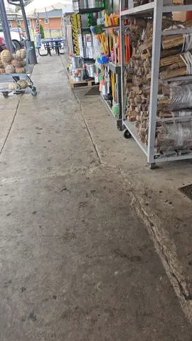 #VoiceEffects para las #toxicas #lavadero 