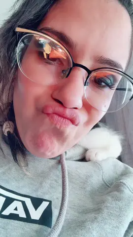 Kitty #catsoftiktok #fyp #kittycat 