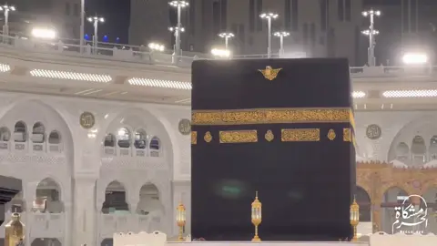 صلاة العشاءالأحد 4 جمادى الأولى 1447هـ المسجد الحرام بمكة المكرمة 🕋 الشيخ #بدر_التركي  #مكة  #الحرم  #اكسبلورexplore  #like 