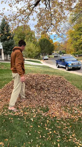 BIGGEST LEAF DROP IN HISTORY #cat #catsoftiktok #autumn #fall 