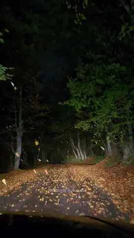 📍 Qusar “ Gachagooch Forest”  #Otel #Restoran #yeni #restaurant #hotel 