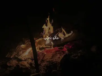 😍#sherwani #viral #fyp #barzan #SB 