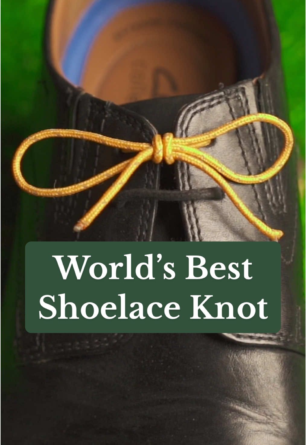 The Worlds Best Shoelace Knot.  The Berluti Knot Doesn’t Come Loose, and is perfectly symmetrical. Ideal for dress shoes, sneakers, hiking shoes and more! Link in BIO for the Knot IQ knot tying app.  Or search for it on the app / play store! #Shoelaceknot #bestknot #knots #knottying