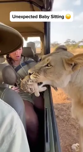 Ugh, this is why I hate group travel. Someone always needs you to hold their baby. 😑 Seriously, the lack of boundaries out here is insane. She just shoved her kid in the car and walked off. You know, just a regular day being completely pinned down by the threat of being mauled, all to accommodate a stranger's cub. Totally chill. ​Have you ever been forced to hold a baby you didn't want to? ​#MomLife #JungleDaycare #BoundariesAreImportant #Sarcasm #NotMoving ​