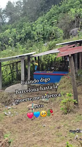❤️💙