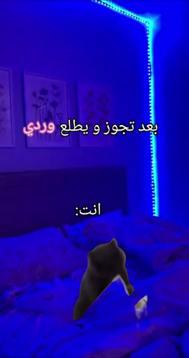 متابعاتكم اشوي و نخشو رقم جديد#fyp #video #فيديوهاتي_تصاميمي🎶🎬 #تصميم_فيديوهات🎶🎤🎬 #شعب_الصيني_ماله_حل😂😂 