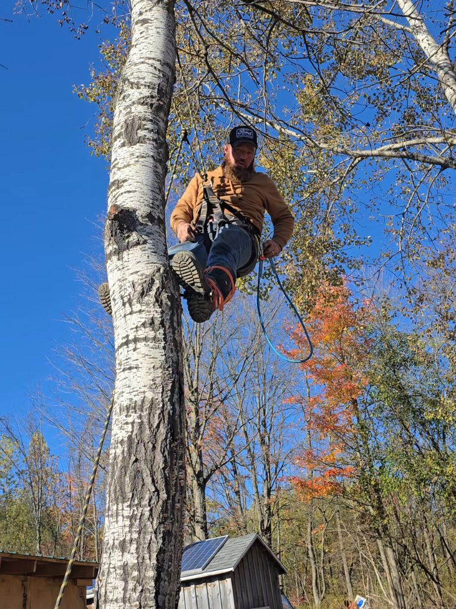 climbing gear vevor got u #climbinggear #treework #vevor #dwscustoms 