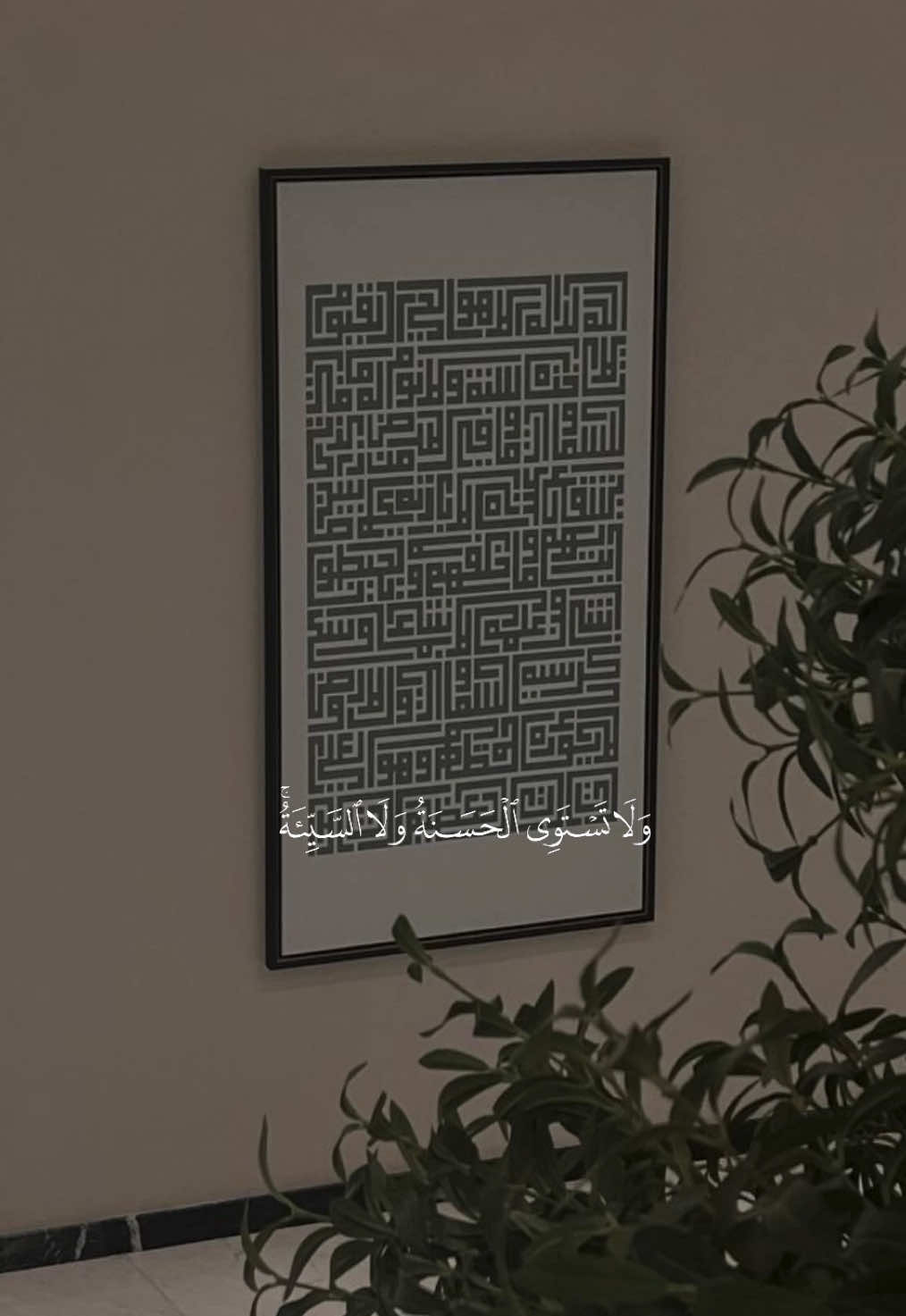 #تلاوات #عبدالله_الموسى #سورة_فصلت 