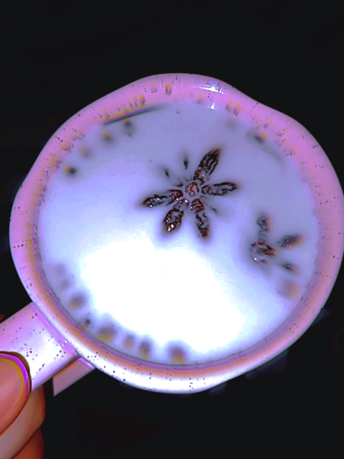 #witchcraft  #intuicaofeminina #bruxaria #camomila #magianatural 