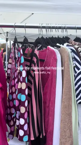 the perfect fall day! loved seeing all the costumes and dogs #newlifemarketsfallfestival #newpaltzny #fallvendorevent #thriftshopping #sustainablefashion 