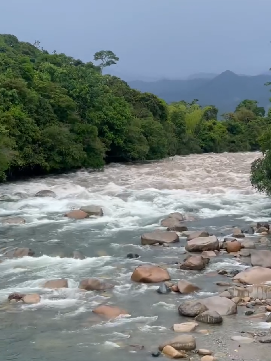 Creciente súbita en el municipio de San José del Fragua en el Departamento del Caquetá.  ¡Impresionante!🤯 #caquetacolombia #SanJoseDelFragua 