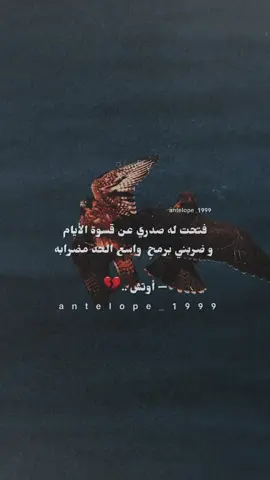 #أذكر إني #تصميمي #إكسبلوررررررر_explore 