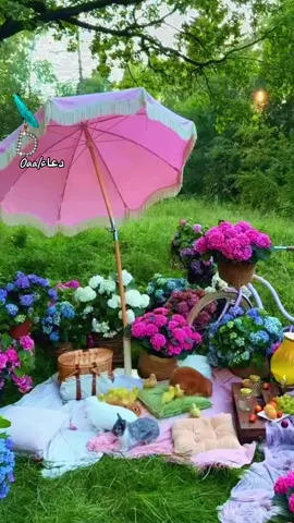 #احمدك_واشكرك_يارب #الحمدلله_دائماً_وابداً #السعاده♡♡لقوبكم #مساء_الخير #fyp 