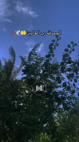 الحمدلله رب العرش العظيم 🤲🏻📿🕋🕌🕊️🕊️🕊️🕊️🕊️🕊️🕊️🕋🕋🕋🕌🕌🕌