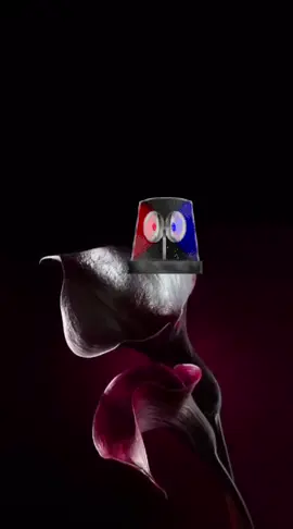 #azarbaycan🇦🇿🇹🇷türkiye #terazikr #kesfetteyiz #teraziburcu #terazikadını 