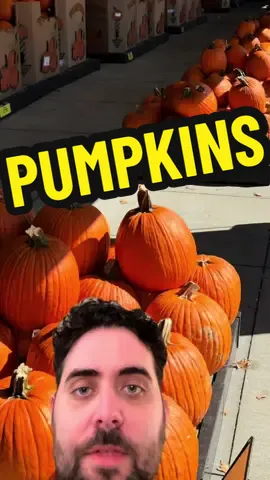 How do to identify different types of pumpkins and which ones are good to cook with 