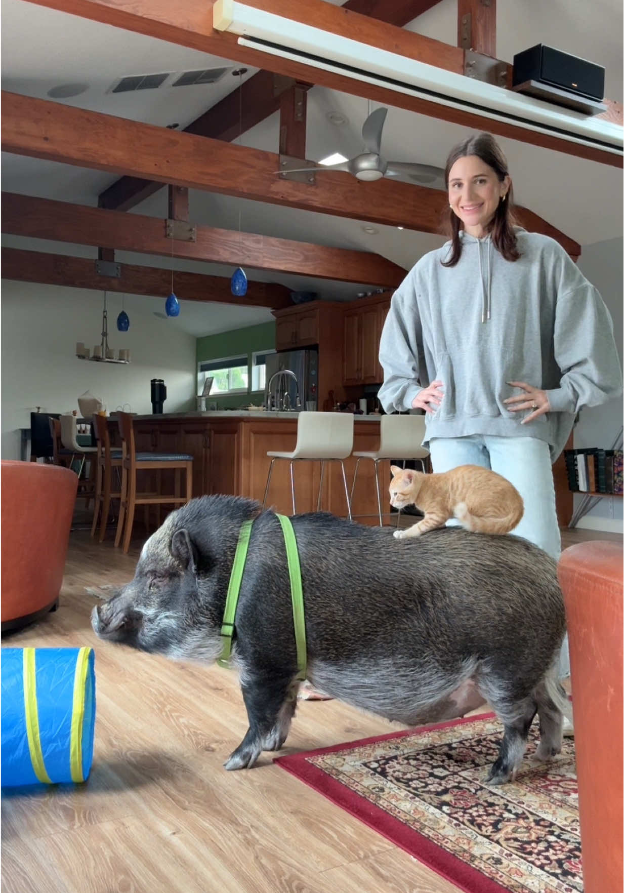 Merlin meets his cousins, Rumi & Sufi 🥹