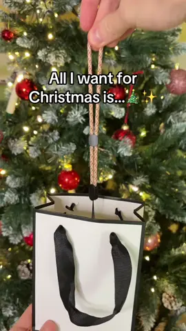 It’s not just a Christmas ornament…it’s a memory 🕊️❤️ #memoryorb #christmasgift #emotionalgift #christmasmagic #giftforher