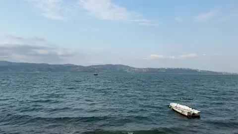 وَلَمَا تَلَاقَيْنَا عَلَى سَفَحَ رَامَةٍ وَجَدْتُ بَنَانَ العَامِرِيَّةِ أَحْمَرَا فَقُلْتُ خَضَبْتِ الكَفَّ عَلى فِرَاقِنَا فَقَالَتْ مَعَاذَ اللّهَ ذَاكَ مَا جَرَى #عبدالرحمن_محمد #fyp #sea #istanbul 