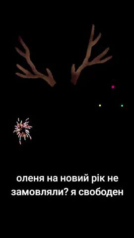 уволодимирыі вже новий рік 2027 #rge #fyp #on #pahuist #ібачотко 