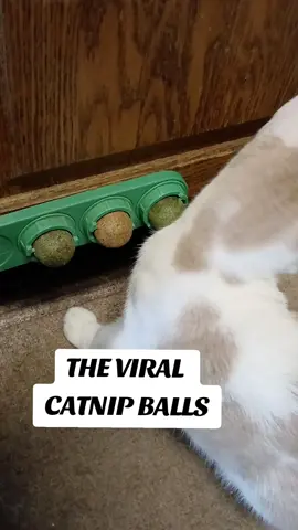 The viral catnip balls!🐾#catnip #catnipball #catniphigh #meow #cattok 