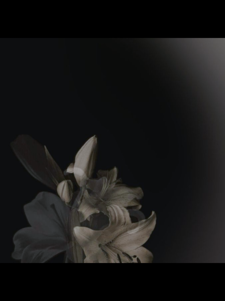 belonging muslims #fyp #muslim #muslimah #fyp 