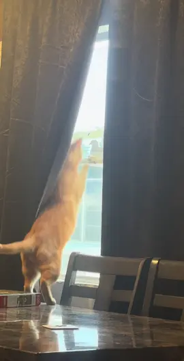 uppercuts all day 😤😂