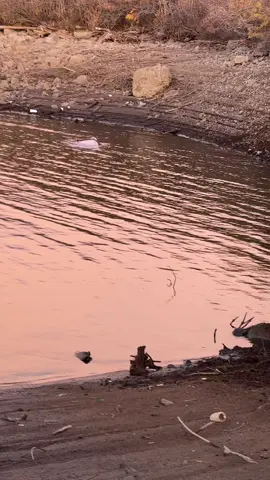 #GCAT #4x4 #recovery#Towing what was