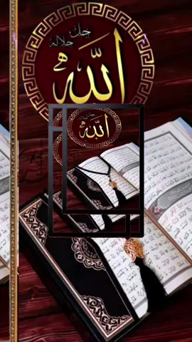 #tiktok  #creatorsearchinsights 