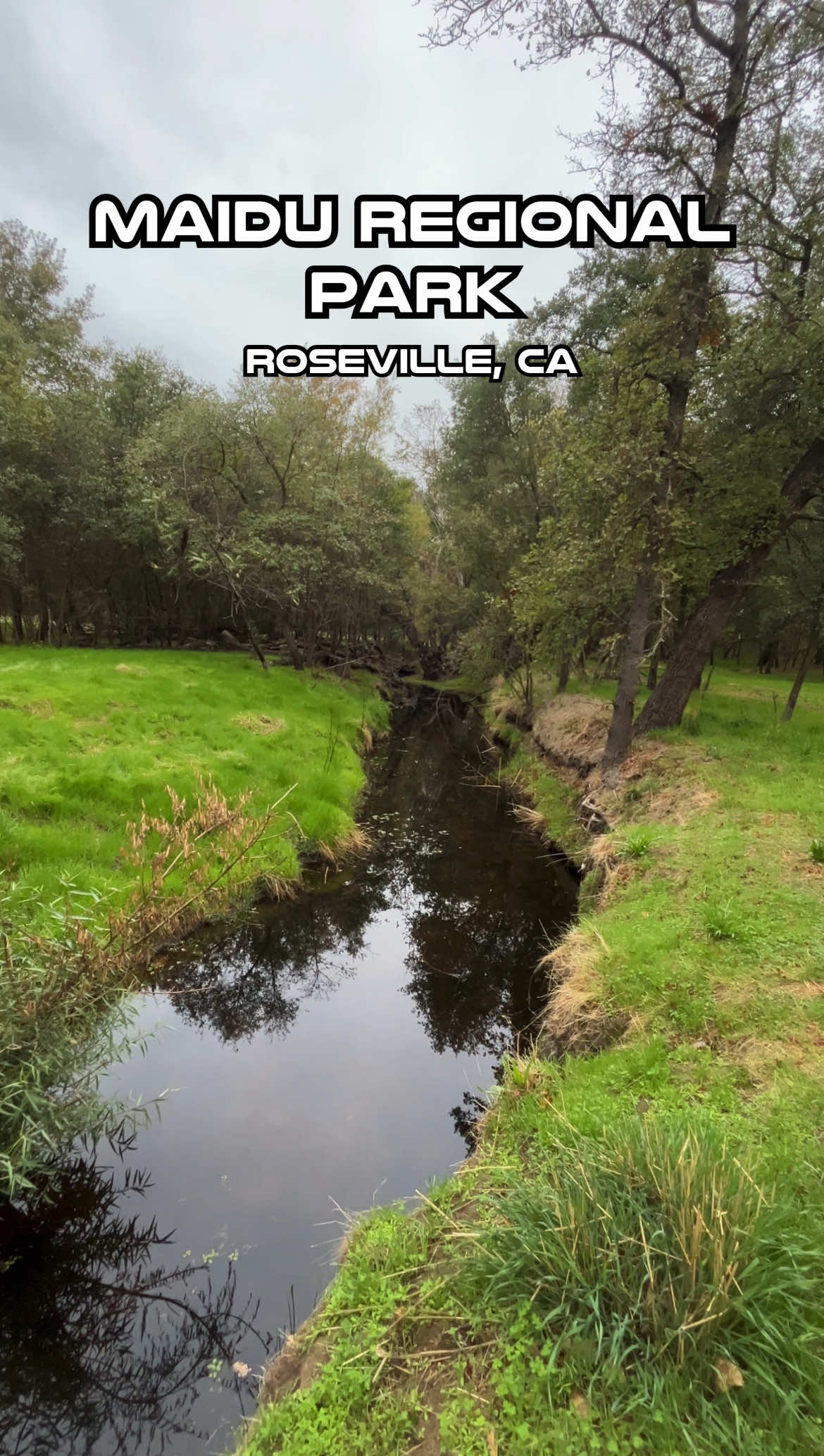 Maidu Regional Park | 4.5/5 🌳🌟3.5 Miles. Easy. 129 ft Elevation. #RunTok #Running #California #TrailRunRater #Run 