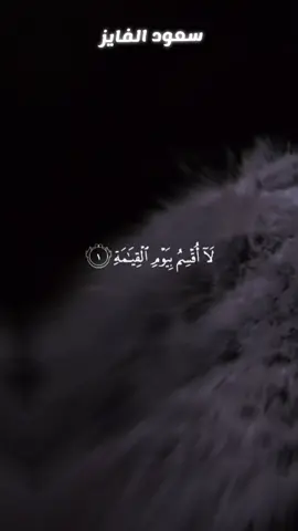 #سعود_الفايز #تلاوات #بشار_القطيبي #قران #قران_بصوت_يخشع_القلب 
