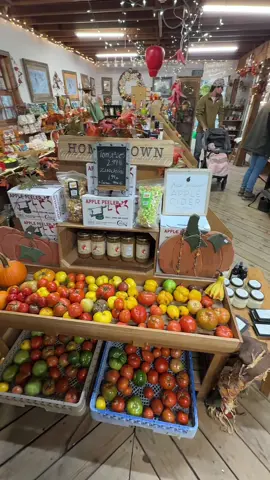 Spend a fall day with us! Seriously the cutest place ever 10/10 we will be returning 🍂🍎☕️🪵 #fyp #fall #pumpkinseason #appleorchard 
