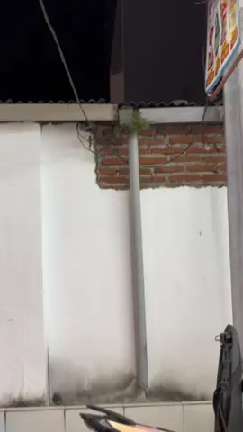 🙁#beatmodifikasi #penggunaring17 #fyp #jogjastyle #danapelajar 