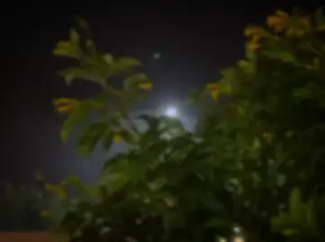 بە جاوەکانی خۆم بینیم جیتان لێکردم وە پێتان دەڵێم حسبي الله ونعم الوكيل💔.#foruyou 