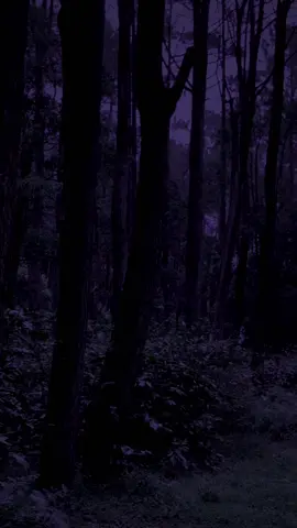 i'd give anything to have you again.