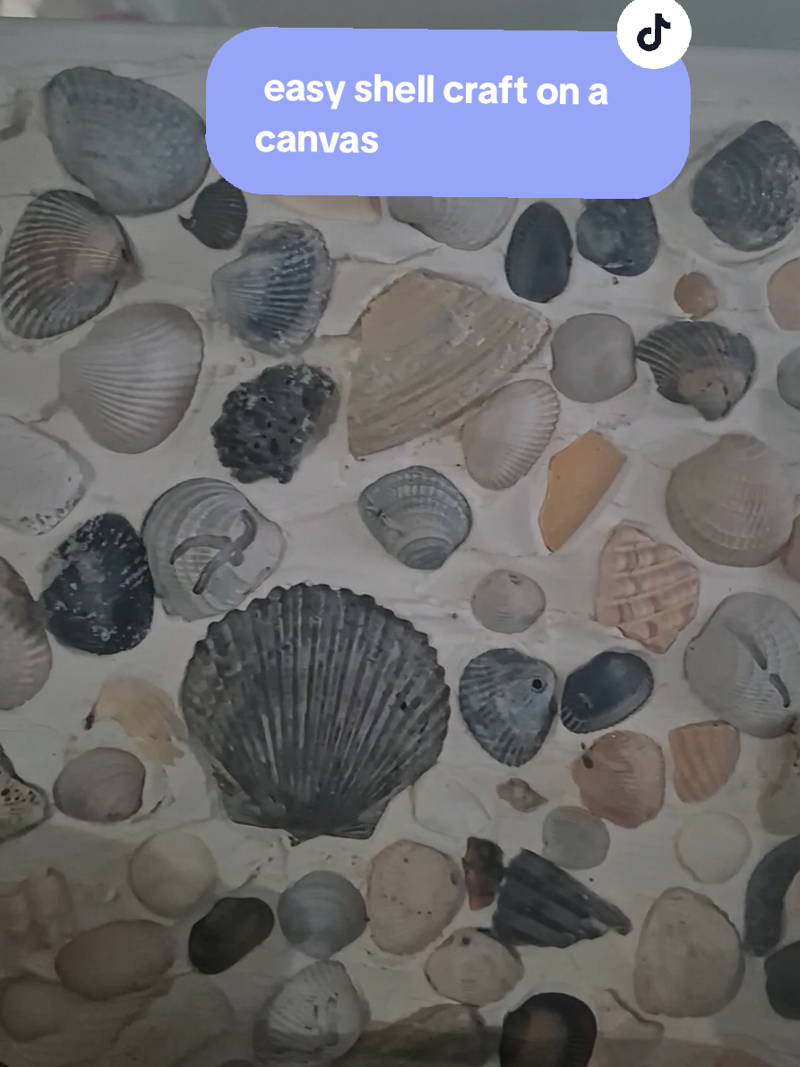 Homemade decor is always better than store bought especially when your kids make it! ❤️  this was a fun little craft we did with all the shells we found at the beach 🐚🏖  & I think it turned out so cute 😍  #shellcrafts #canvasart 