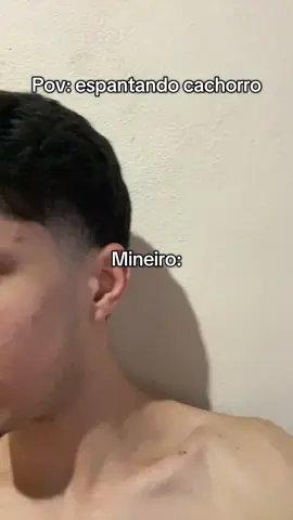 Segue o perfil. #fyp #foryou #mineiro 