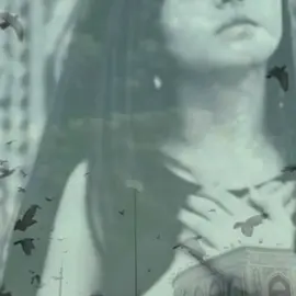 كبر بيه هواك وسبب جنوني #ناي #رقه #فرح #fypシ゚ #تصميم_فيديوهات🎶🎤🎬 