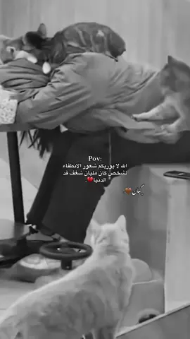 حقيقي💔.  #بنغازي_طبرق_درنه_البيضاء_ #كيان_الدرسي #مصر_امسعاد_مطروح_اسكندريه_تصميم_انشوت_كاب_كات_ #طبرق_ليبيا🇱🇾✈️ 