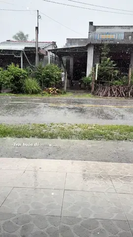 Trời buồn đổ mưa… sáng mưa rồi #nhachaymoingay❤️ #xuhuongtiktok #thinhhanh #titokgiaitri🌺🌺 #capcut 