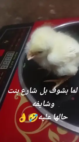 ما دخلني طلع عندي ترند بس للبنات 😂😂😂😂