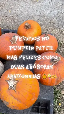 Lost in the pumpkin patch, but happy like two pumpkins in love 🧡😂🎃 #flypシ #viralvideo #pumpkinseason #pumpkinpatch #MomsofTikTok 