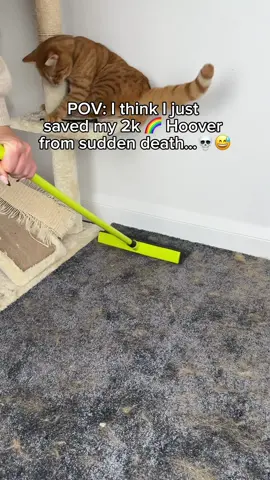 BTW that’s her favourite spot to lie 🐈🤣