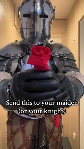 send it to them  #knight #girl #medieval #relationshipgoals #cosplay 