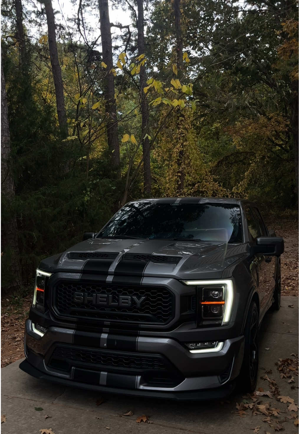 🖤🖤#shelby #f150 #supersnake #shelbyamerican #carsoftiktok 