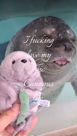 Life is full of whimsy and 🦭<3🙏 #seal #chungus #Love #epic #fyp