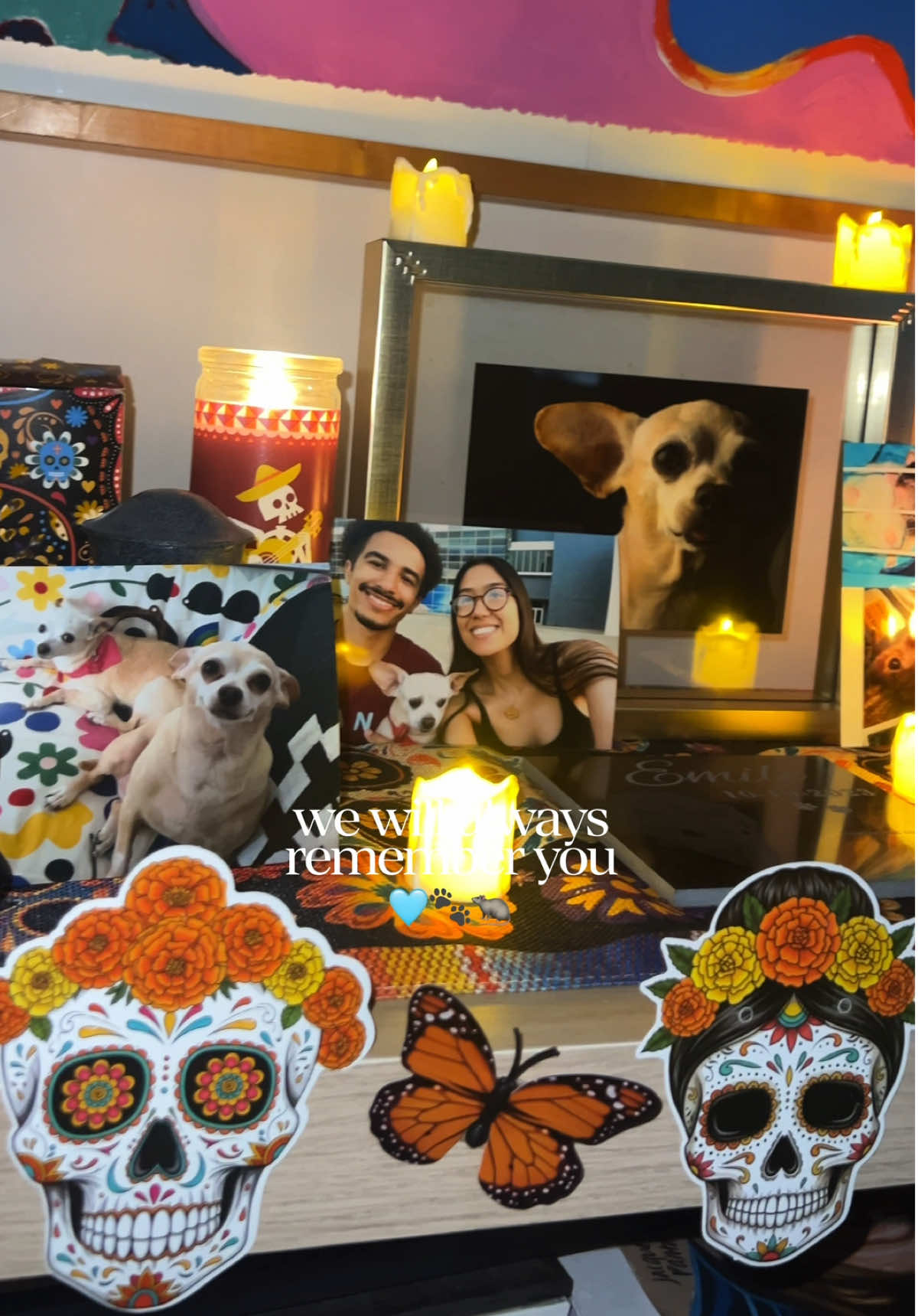 Día de muertos preparation for our boys and one of their moms 🩵🇲🇽✨🏜️ we miss them dearly 🥹 #diademuertos #ofrenda #diademuertosforpets #doggrief #Love 