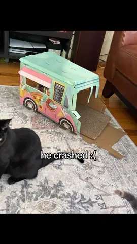 Beedle tried to open up a food truck but it didn’t go well :(